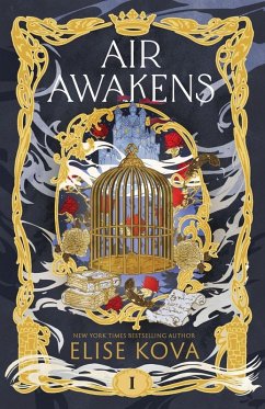 Cover Air Awakens