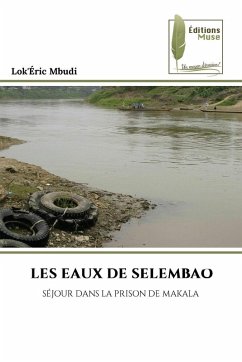 Cover LES EAUX DE SELEMBAO