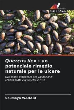 Quercus ilex : un potenziale rimedio naturale per le ulcere - WAHABI, Soumaya Quercus ilex : un potenziale rimedio naturale per le ulcere - WAHABI, Soumaya