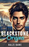 Blaxstone Origins (eBook, ePUB)