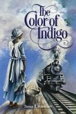 The Color of Indigo (eBook, ePUB)