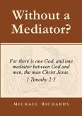Without a Mediator? (eBook, ePUB)