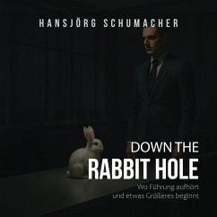 Cover Down the Rabbit Hole (MP3-Download)