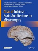 Atlas of Intrinsic Brain Architecture for Microsurgery (eBook, PDF)