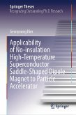 Applicability of No-insulation High-Temperature Superconductor Saddle-Shaped Dipole Magnet to Particle Accelerator (eBook, PDF)