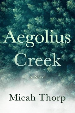 Aegolius Creek (eBook, ePUB) - Thorp, Micah