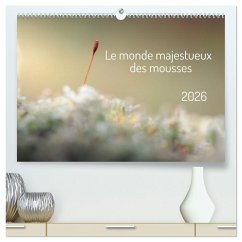 Le monde majestueux des mousses (Calendrier mural 2026 DIN A2 vertical) calendrier de bureau
