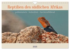 Cover Reptilien des südlichen Afrikas (Wandkalender 2026 DIN A4 quer), CALVENDO Monatskalender