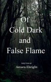 Of Cold Dark and False Flame