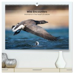 Wild encounters - Moments in the heart of nature (High Quality Premium Wall Calendar 2026 DIN A2 landscape),CALVENDO 12 Month Wall Calendar Wild encounters - Moments in the heart of nature (High Quality Premium Wall Calendar 2026 DIN A2 landscape),CALVENDO 12 Month Wall Calendar