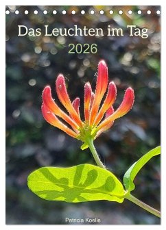Cover Das Leuchten im Tag (Tischkalender 2026 DIN A5 hoch), CALVENDO Monatskalender