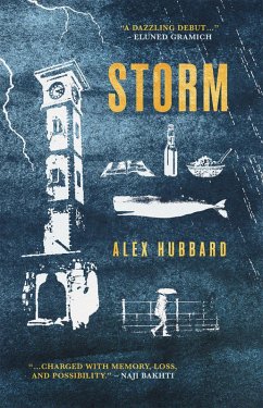 Cover Storm (eBook, ePUB)