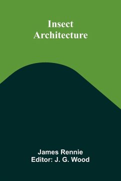 Cover Insect Architecture