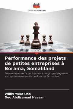 Cover Performance des projets de petites entreprises à Borama, Somaliland