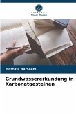 Grundwassererkundung in Karbonatgesteinen