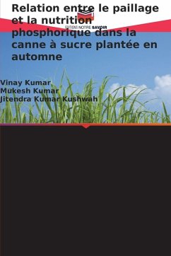 Relation entre le paillage et la nutrition phosphorique dans la canne à sucre plantée en automne - Kumar, Vinay;Kumar, Mukesh;Kushwah, Jitendra Kumar
