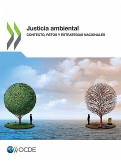Cover Justicia ambiental