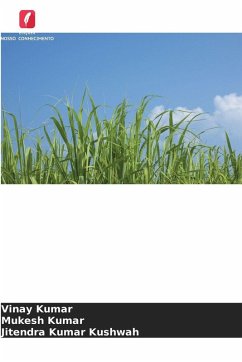 Relação entre a cobertura morta e a nutrição com fósforo na cana-de-açúcar plantada no outono - Kumar, Vinay;Kumar, Mukesh;Kushwah, Jitendra Kumar
