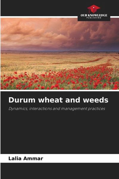 Durum wheat and weeds Durum wheat and weeds