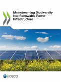 Mainstreaming Biodiversity into Renewable Power Infrastructure Mainstreaming Biodiversity into Renewable Power Infrastructure