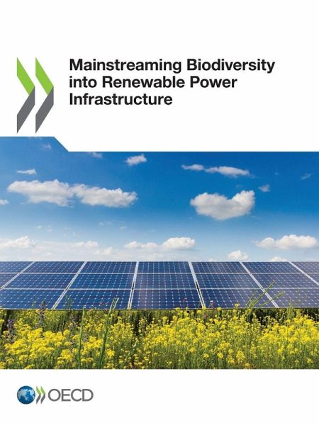 Mainstreaming Biodiversity into Renewable Power Infrastructure Mainstreaming Biodiversity into Renewable Power Infrastructure