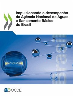 Cover Impulsionando o desempenho da Agência Nacional de Águas e Saneamento Básico do Brasil