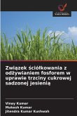 Zwi¿zek ¿ció¿kowania z od¿ywianiem fosforem w uprawie trzciny cukrowej sadzonej jesieni¿ Zwi¿zek ¿ció¿kowania z od¿ywianiem fosforem w uprawie trzciny cukrowej sadzonej jesieni¿