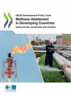 Methane Abatement in Developing Countries Cover Methane Abatement in Developing Countries