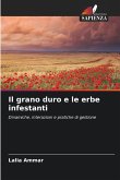 Il grano duro e le erbe infestanti