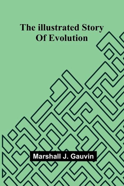 The Illustrated Story Of Evolution The Illustrated Story Of Evolution