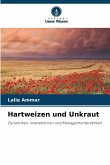 Hartweizen und Unkraut Hartweizen und Unkraut