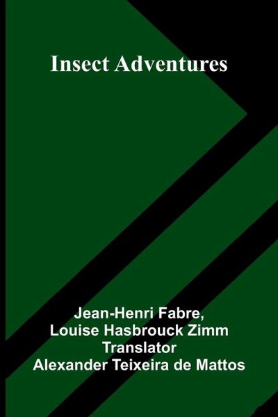 Insect Adventures Insect Adventures