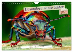 Cover Besondere bunte Käfer (Wandkalender 2026 DIN A4 quer), CALVENDO Monatskalender