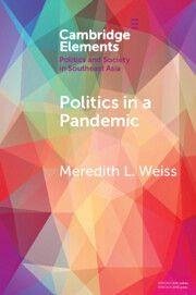 Cover Politics in a Pandemic