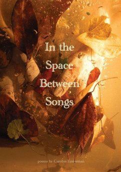 Cover In the Space Between Songs