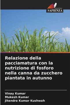 Relazione della pacciamatura con la nutrizione di fosforo nella canna da zucchero piantata in autunno - Kumar, Vinay;Kumar, Mukesh;Kushwah, Jitendra Kumar