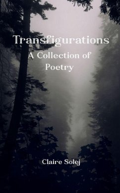 Cover Transfigurations