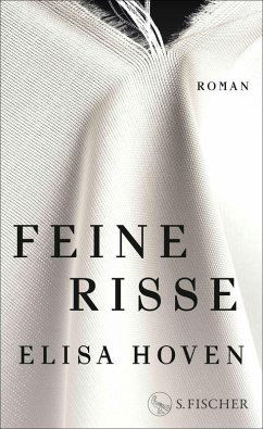 Cover Feine Risse