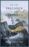 On the Precipice of the Labyrinth On the Precipice of the Labyrinth