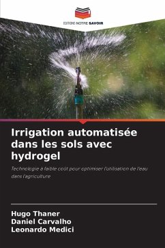 Irrigation automatisée dans les sols avec hydrogel - Thaner, Hugo;Carvalho, Daniel;Medici, Leonardo