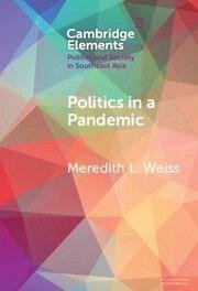Cover Politics in a Pandemic