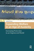 Expanding Welfare in an Age of Austerity