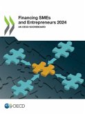 Financing SMEs and Entrepreneurs 2024 Financing SMEs and Entrepreneurs 2024