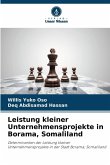 Leistung kleiner Unternehmensprojekte in Borama, Somaliland Leistung kleiner Unternehmensprojekte in Borama, Somaliland