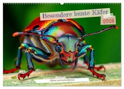Cover Besondere bunte Käfer (Wandkalender 2026 DIN A2 quer), CALVENDO Monatskalender