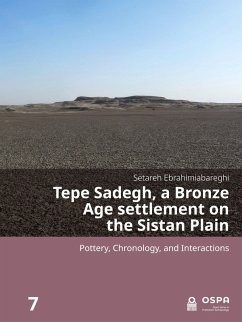 Cover Tepe Sadegh, a Bronze Age settlement on the Sistan Plain