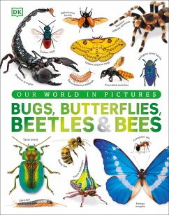 Cover Our World in Pictures Bugs, Butterflies, Beetles and Bees (eBook, ePUB)