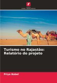 Turismo no Rajastão: Relatório do projeto
