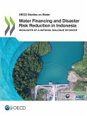 Water Financing and Disaster Risk Reduction in Indonesia