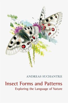 Insect Forms and Patterns Exploring the Language of Nature - Suchantke, Andreas